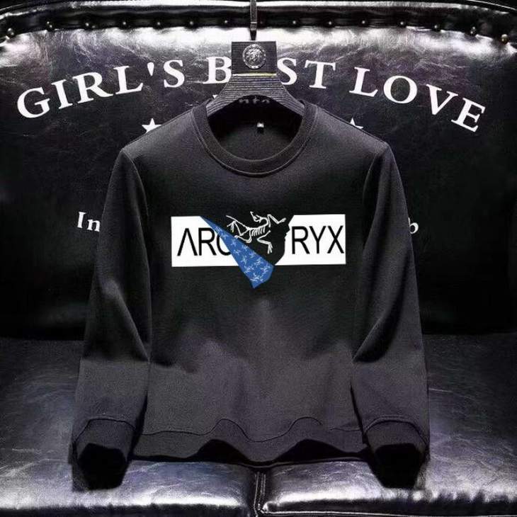Picture of Arcteryx Sweatshirt _SKUArcteryxM-4XL11Lr6929507